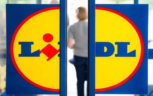 lidl offerte di lavoro