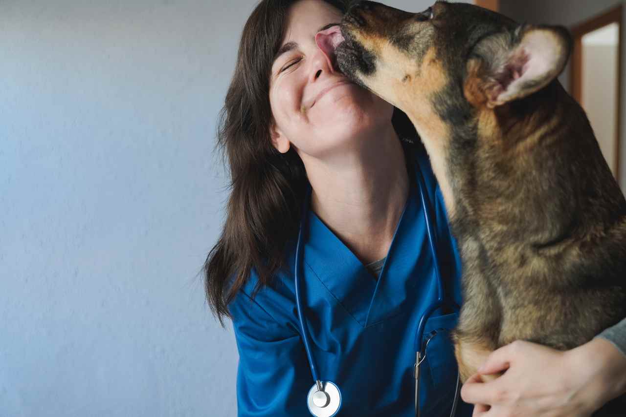 Bonus animali domestici come richiederlo, spese veterinarie e medicinali