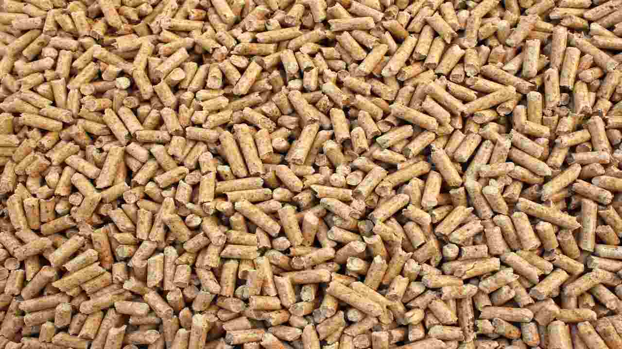 pellet