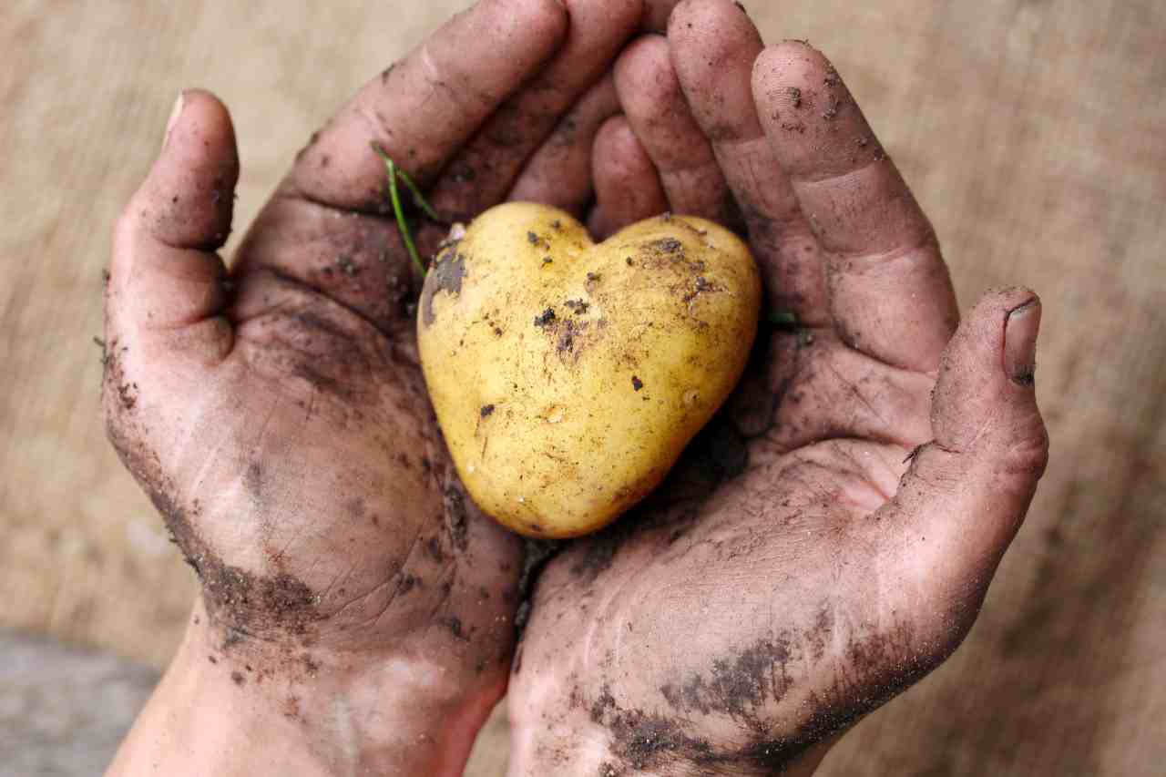 Posizioni lavorative aperte Naturasi, nord italia. Lavora con noi