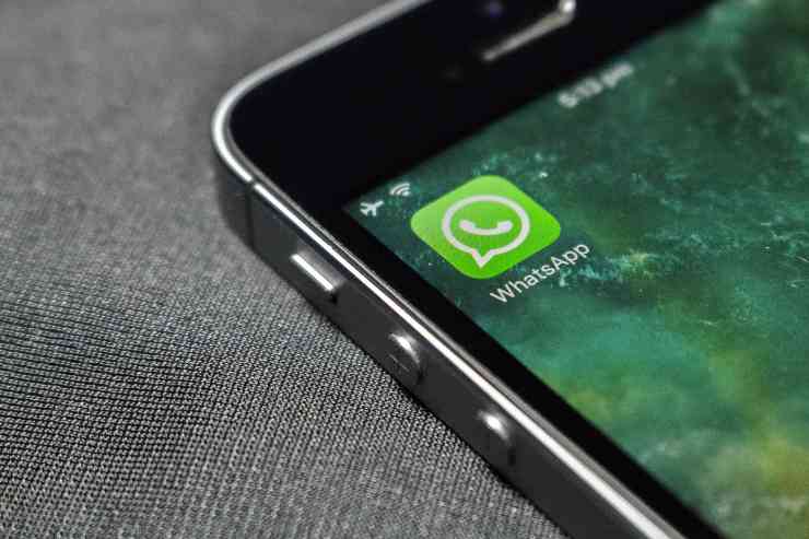 fare spesa su Whatsapp