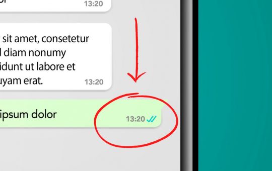 come capire se ha visualizzato il messaggio whatsapp, senza spunte blu: il trucco